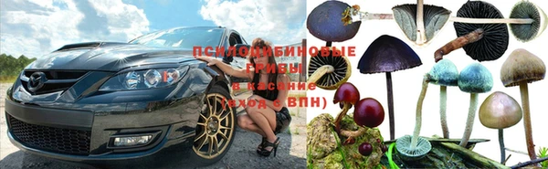 ALPHA PVP Зерноград