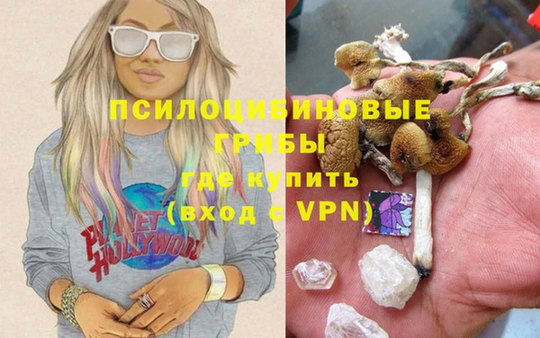 прущие грибы Зеленокумск