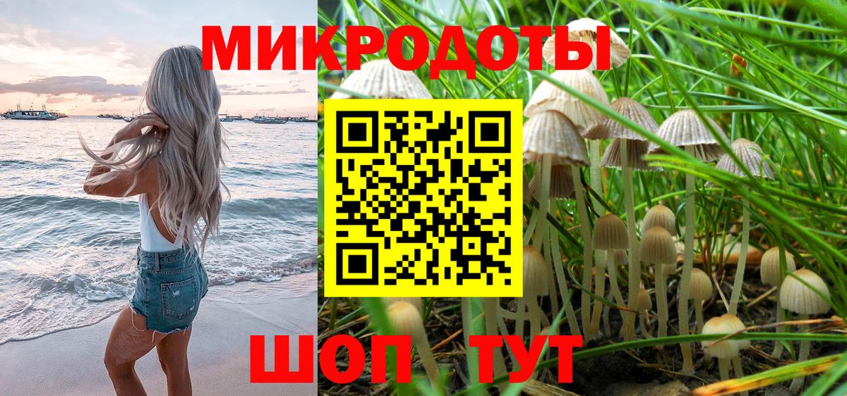 Луга  Галлюциногенные грибы Cubensis  Вход с VPN 